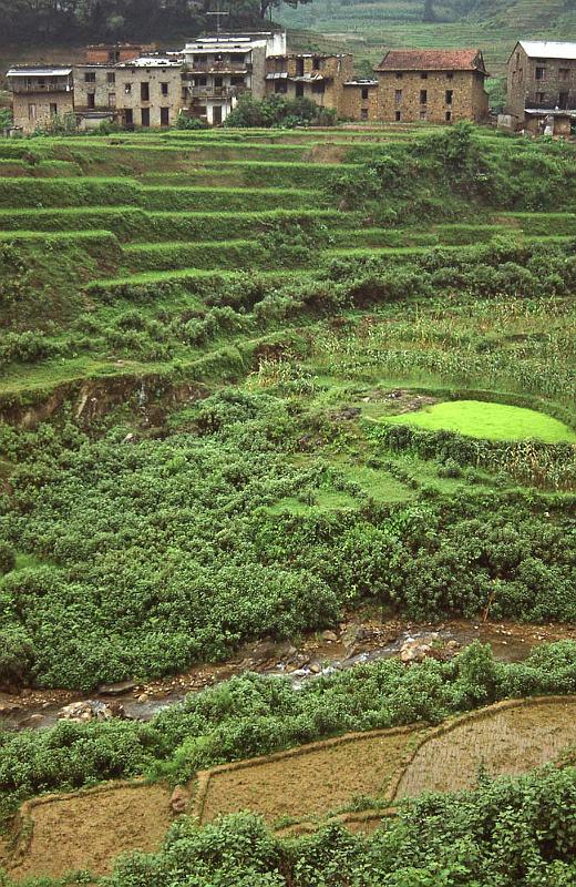 WT 1000 141-24 Nepal.jpg